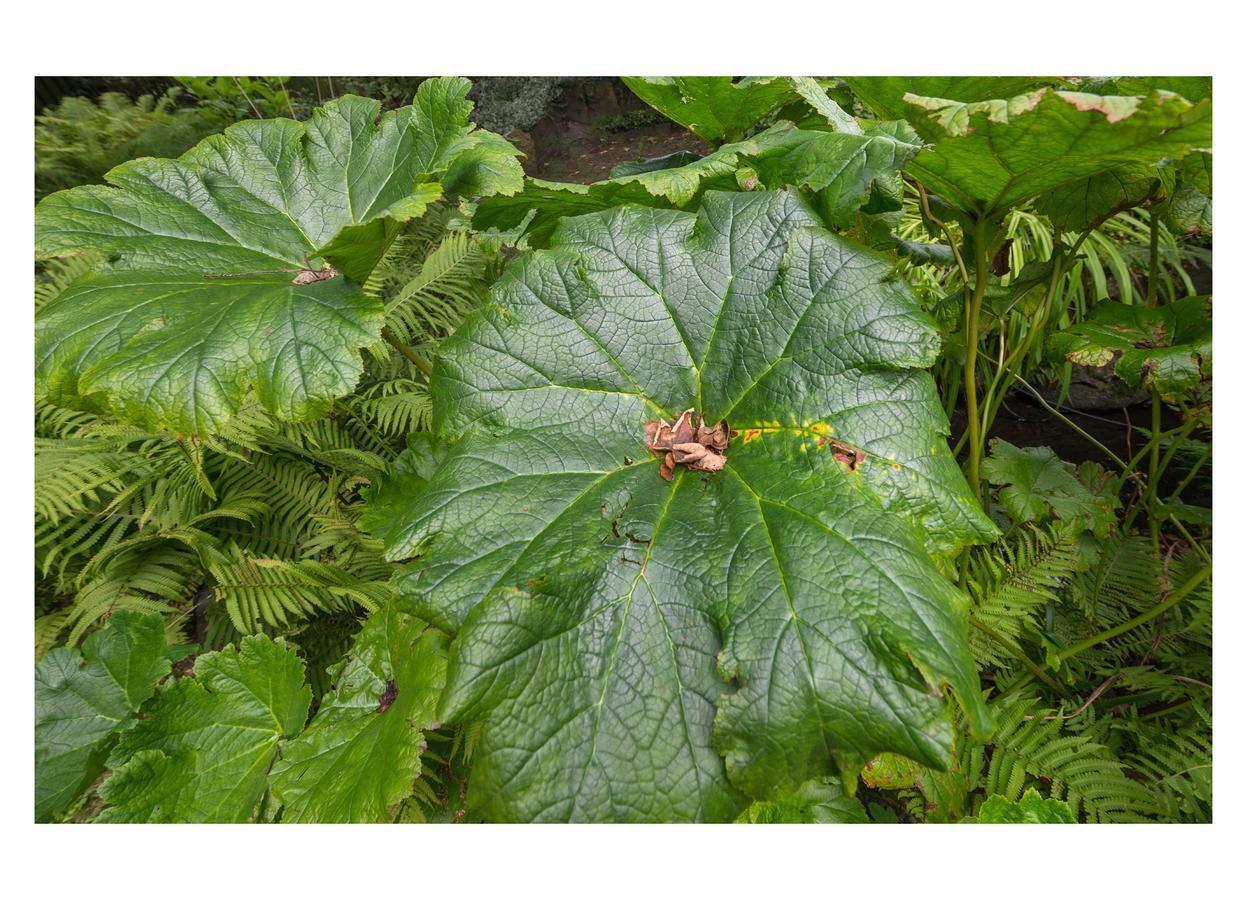 Gradierwerk Suelze 伯根 外观 照片